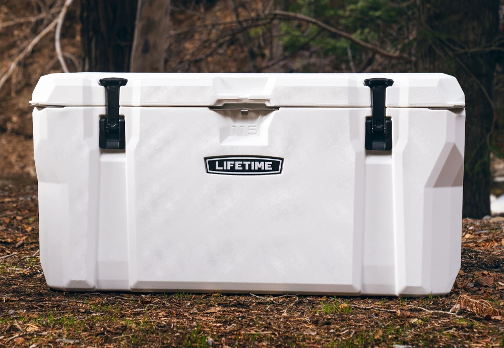 chest freezer cooler