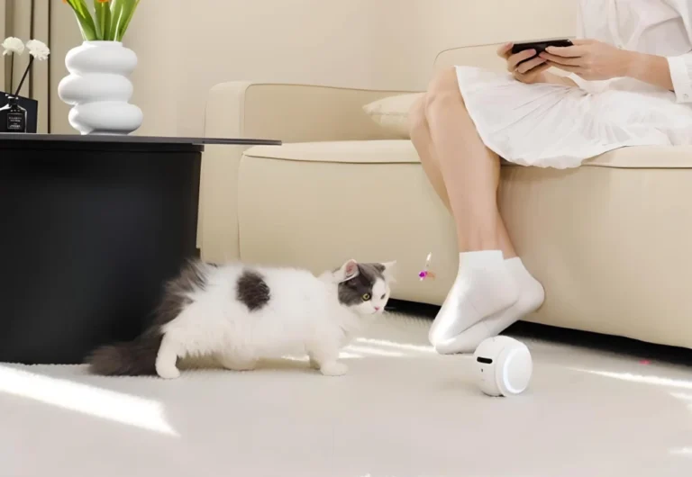 home pet camera