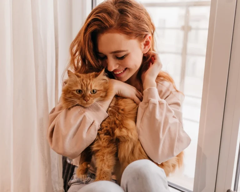 pets automatic pet feeder