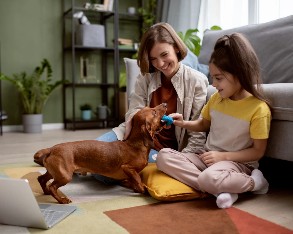 pet food dispensers